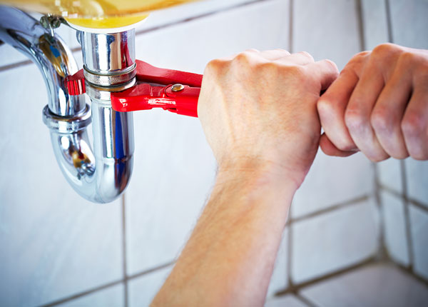 About Paloma Plumbers